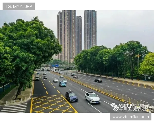 城市优化赛事周边居民出行方案减少扰民影响,优化城市道路 城市优化赛事周边居民出行方案减少扰民影响,优化城市道路