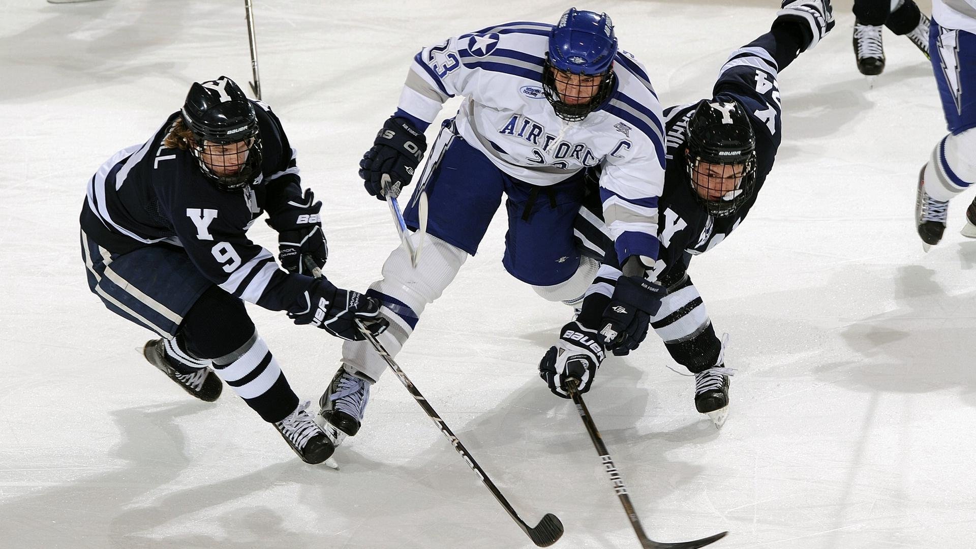 体育新闻内容导向与受众需求匹配分析，体育新闻报道的基本要求